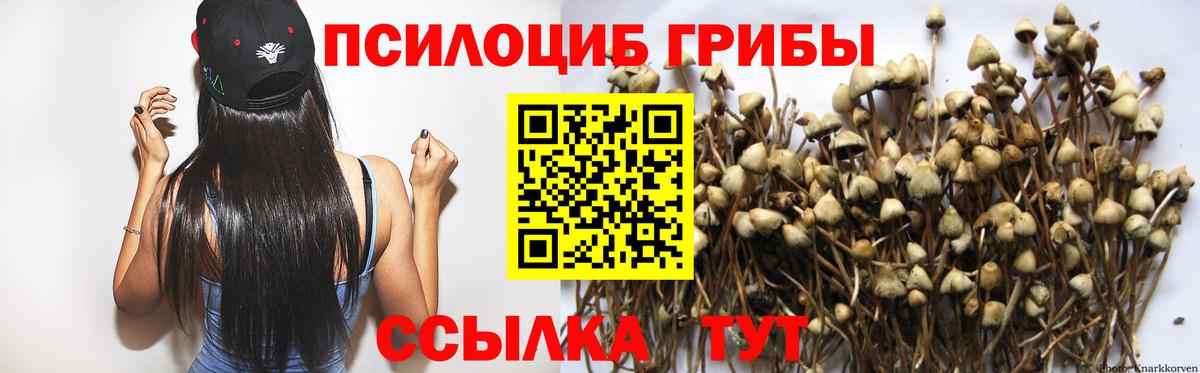 Галлюциногенные грибы Psilocybine cubensis  Вход с VPN  Калач-на-Дону 