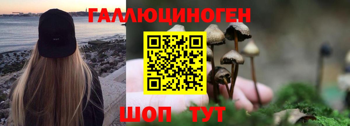 Галлюциногенные грибы мицелий Калач-на-Дону